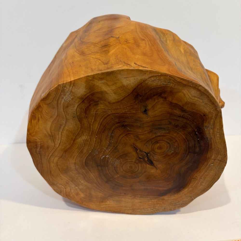 Hand Carved Root Wood Basket Brown Live Edge Rustic Decorative Bowl Handle - Picture 8 of 11